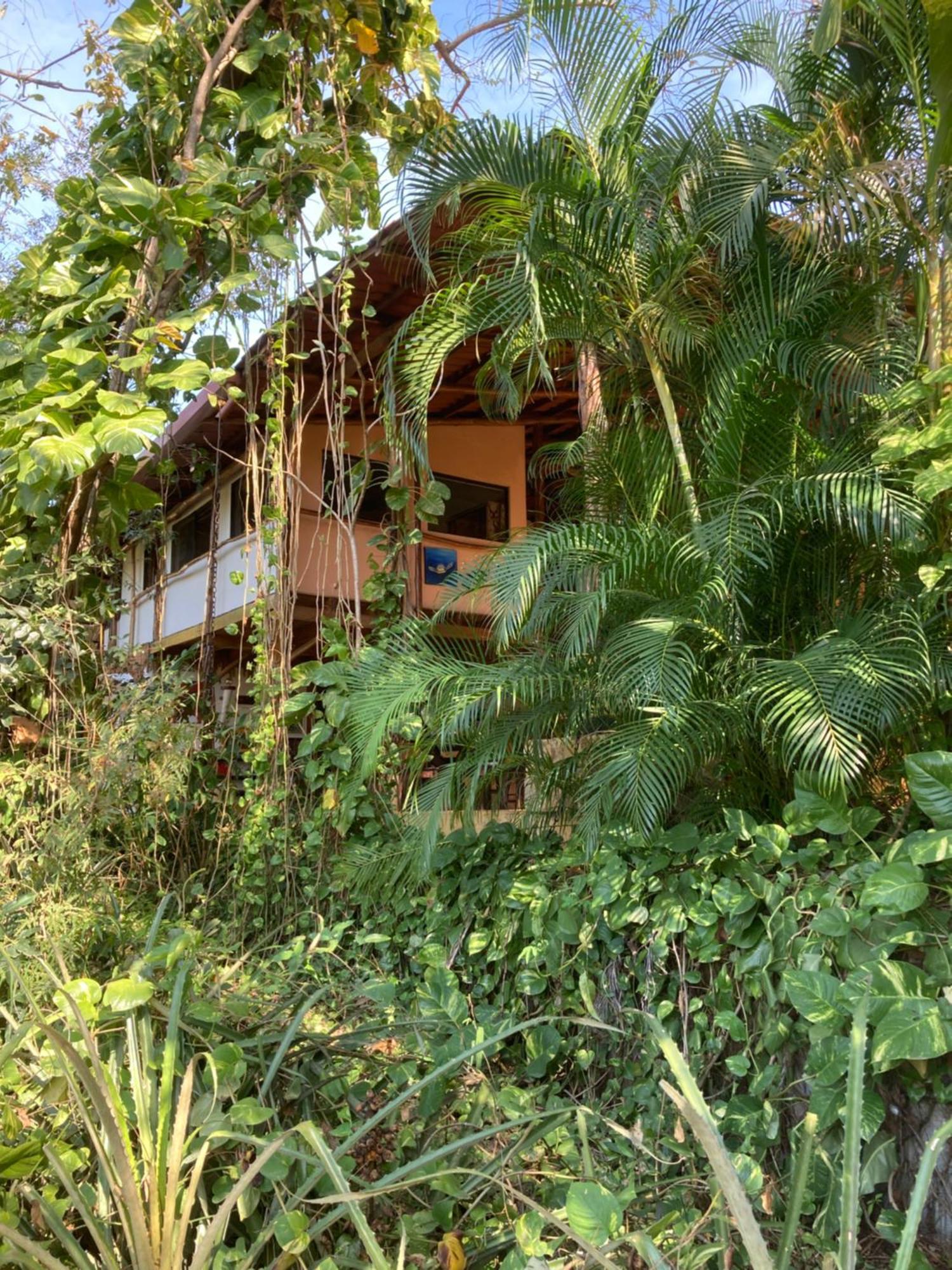 Mundo Milo Eco Lodge Paraiso  ภายนอก รูปภาพ