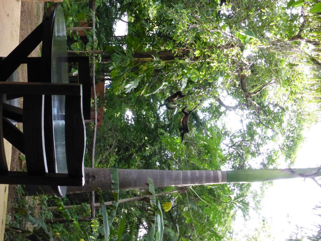 Mundo Milo Eco Lodge Paraiso  ภายนอก รูปภาพ